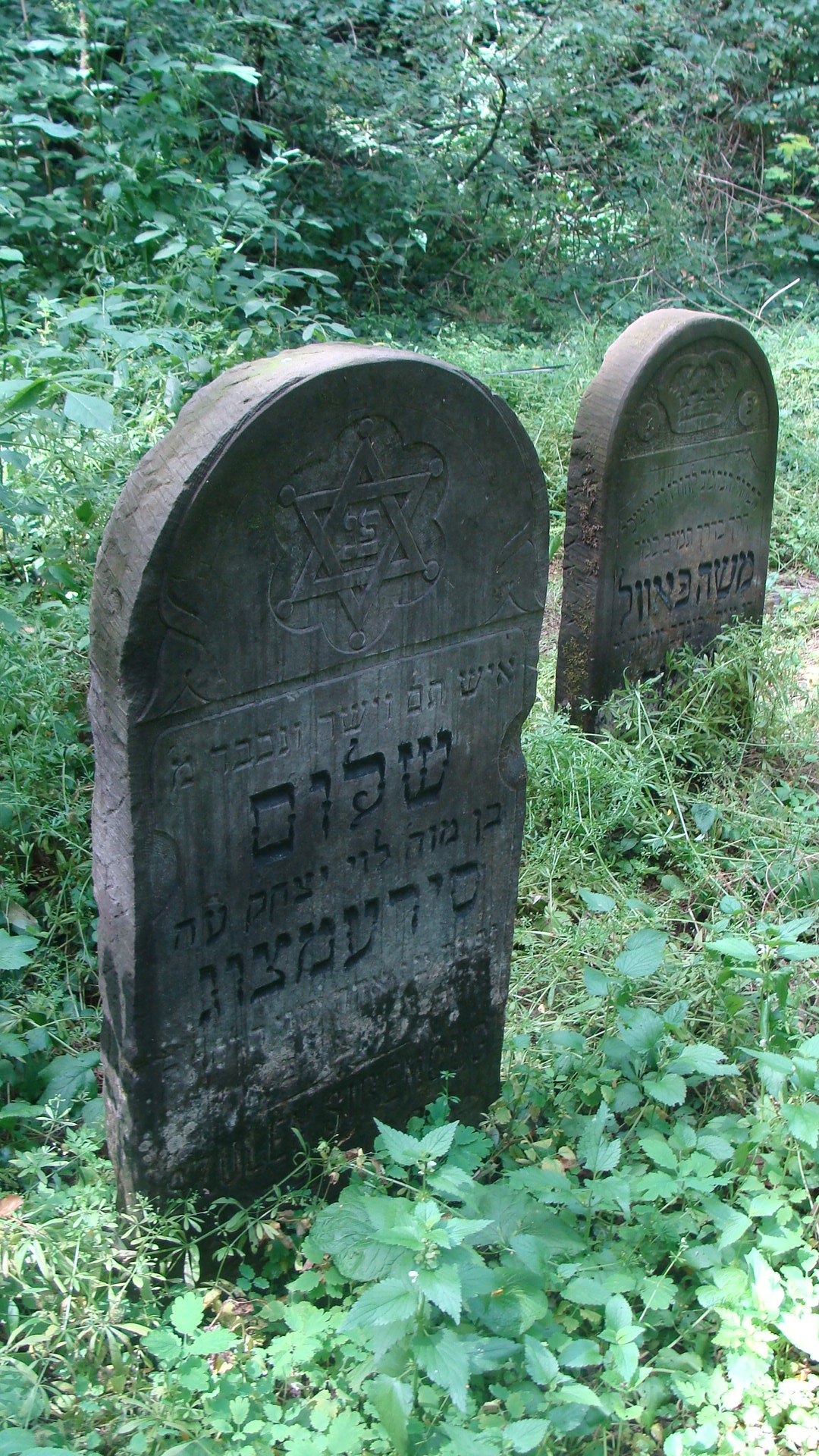 Jewish Cemetery 04