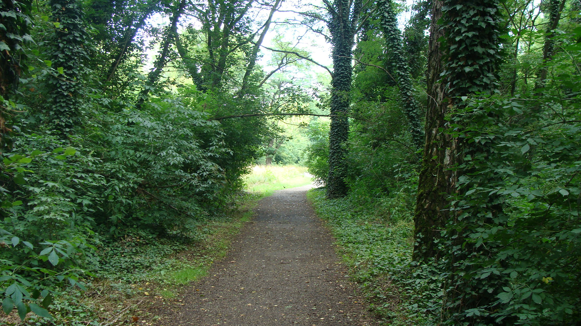 Jewish Cemetery 05