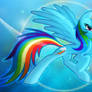 Spirit of Loyalty