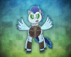 Commander Soarin