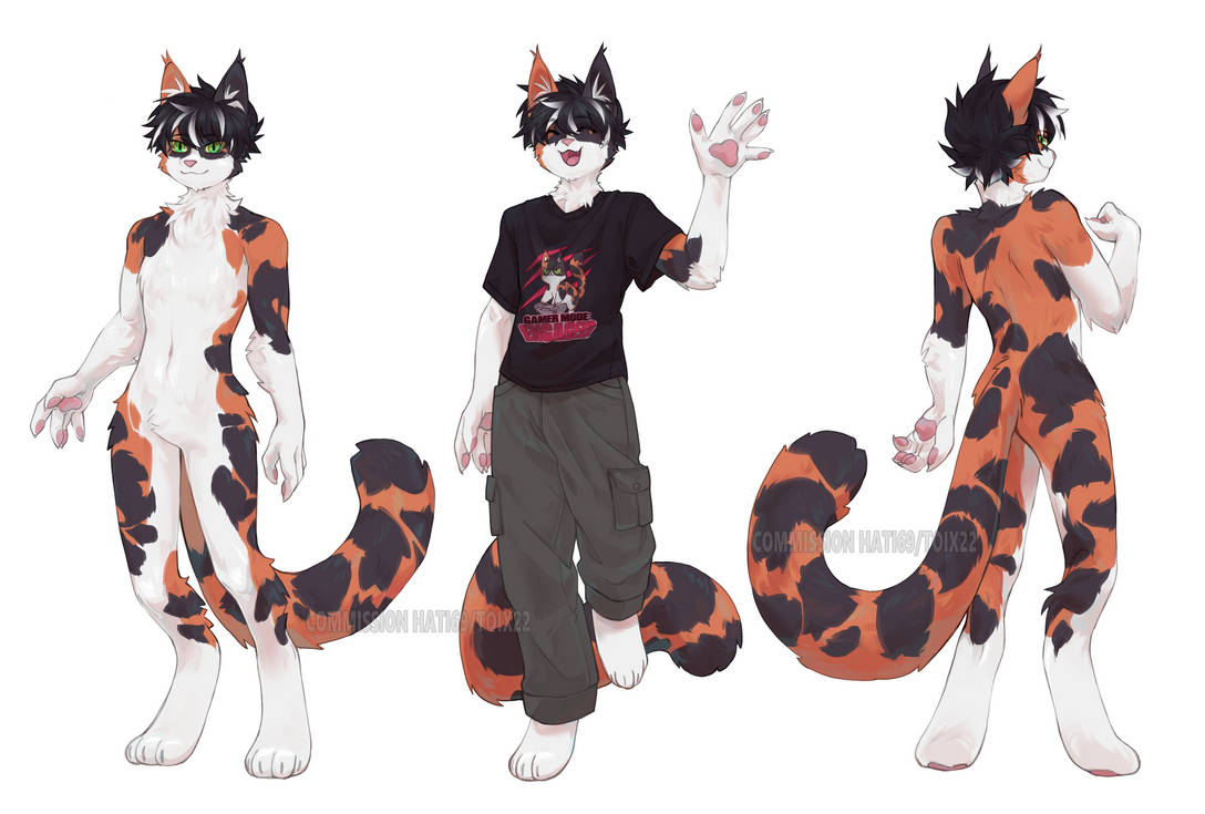Toix22 comm custom char by toix22 on DeviantArt