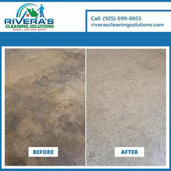 Immaculate Carpet Cleaning in Concord, CA