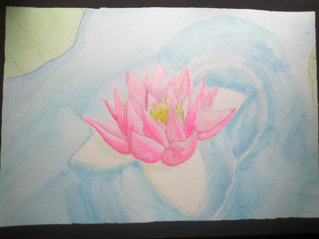 Lotus