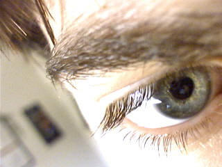 Eye see you.... T_T