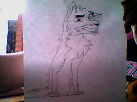 Balto