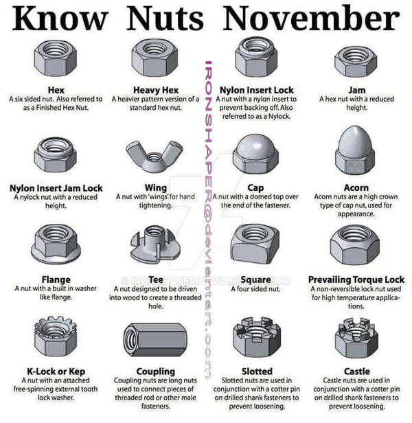 Nutting Variations Know Your Nuts by IronShaper on DeviantArt