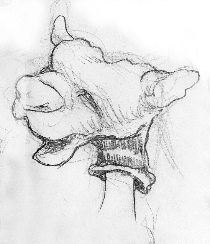 Puppet Socks Deviantart Sock Puppet by little-elwynn on DeviantArt