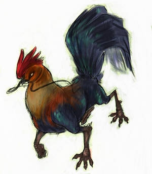 Rooster