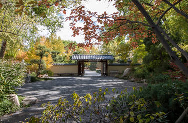 Japanese Gardens 001