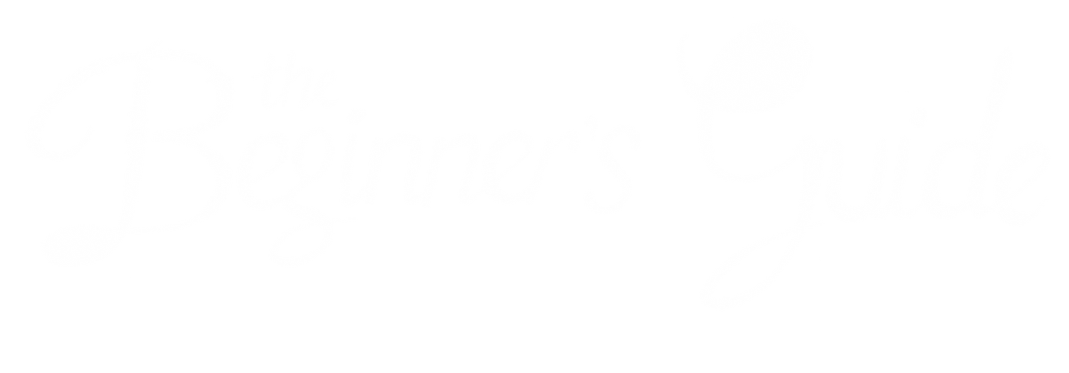 Beginner Guide Logo The Beginner's Guide Logo by guusschut on DeviantArt