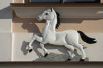 Hradec Kralove _ 11 by utico
