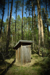 The forest toilet