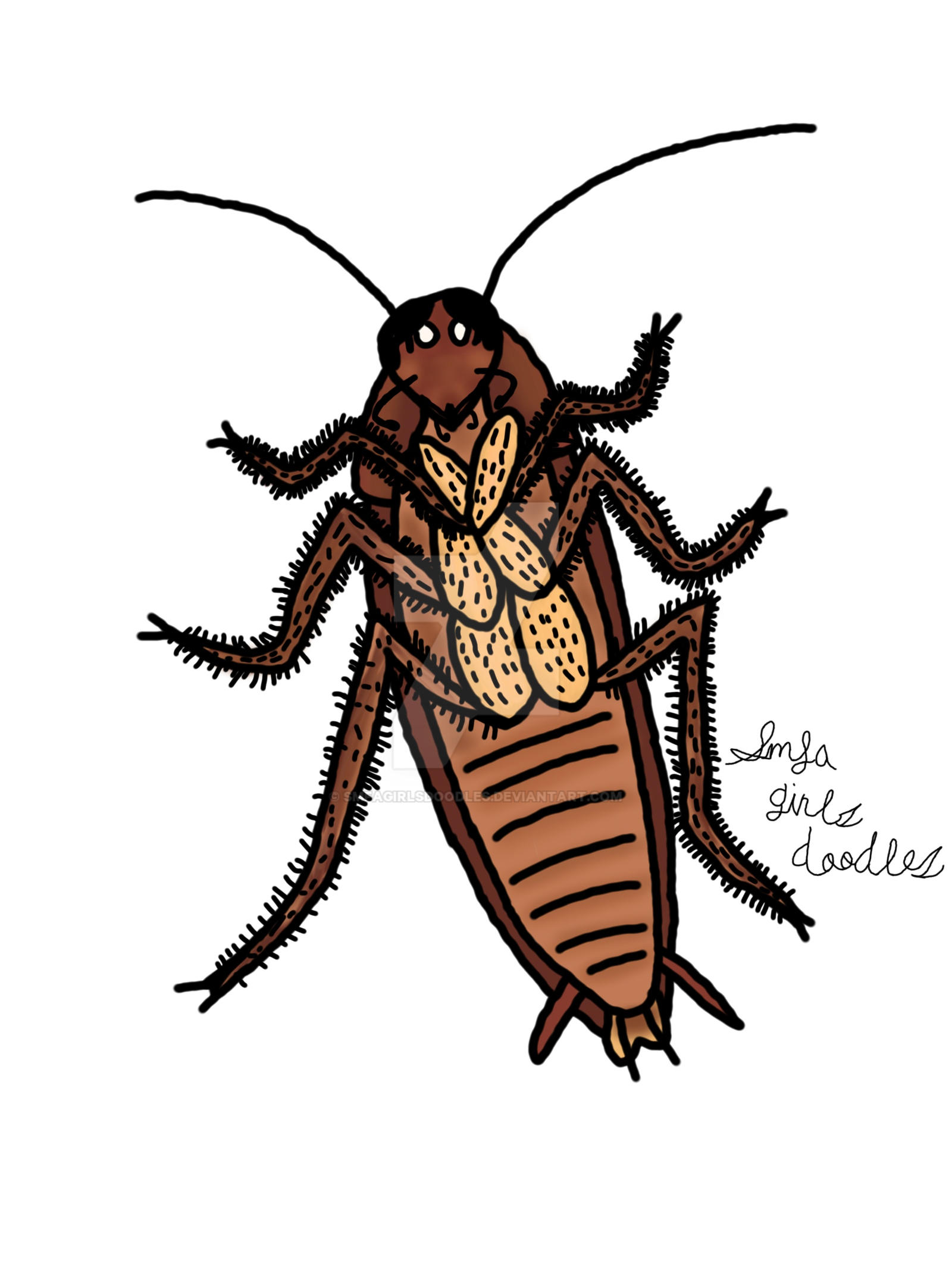 Cockroach drawing (read description) by smfagirlsdoodles on DeviantArt