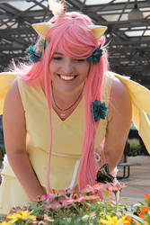 Fluttershy with a Butterfly