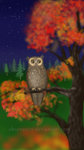 Owl of a Season -in the night by Oksana007
