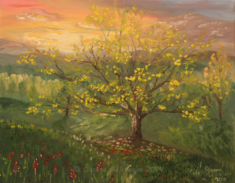 Wise tree by Oksana007 Wise tree by Oksana007