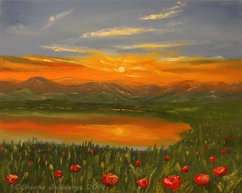 Mountain poppies at sunrise