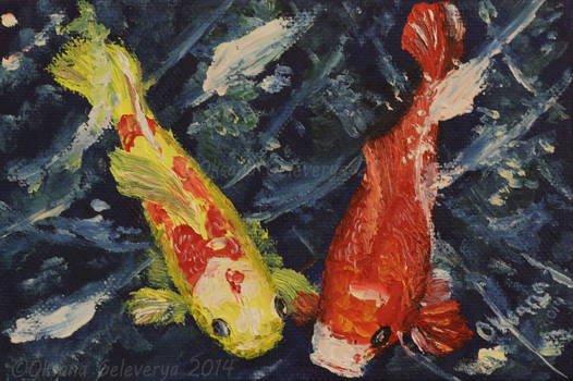 Koi Couple