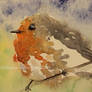 Watercolor and Ink #4 -European Robin - Bird