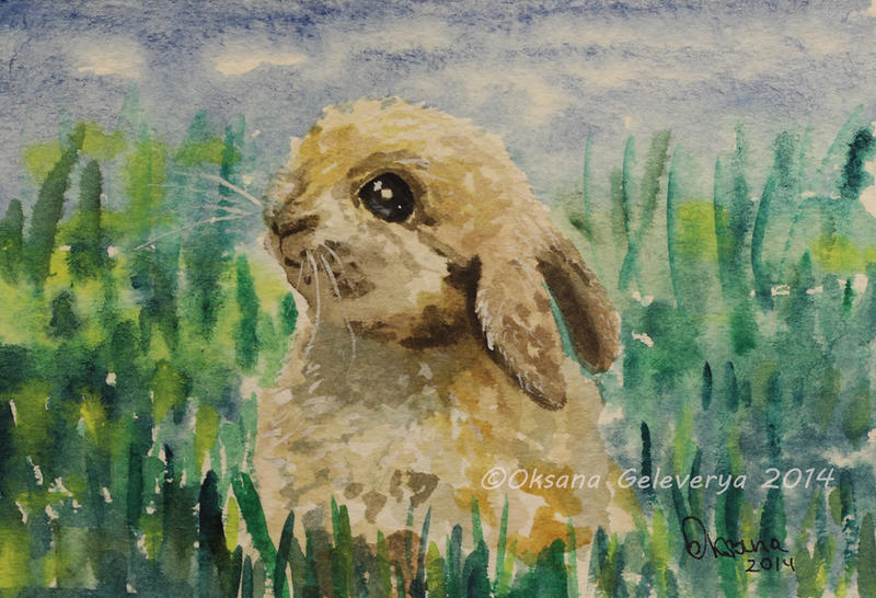 Watercolor and Ink #18 - Rabbit