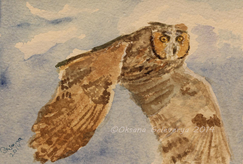 Watercolor and Ink #21  - Long-Eared Owl