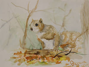 Cute Squirrel - watercolor