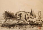 Squirrel near the water - sumi-e, ink painting by Oksana007