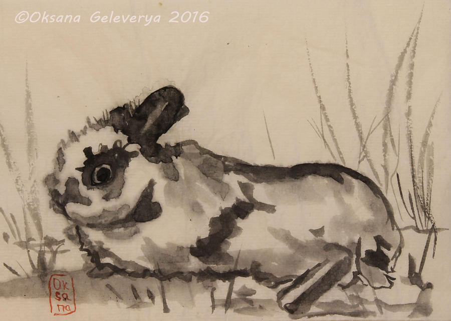 Rabbit - sumi-e, ink painting by Oksana007 on DeviantArt