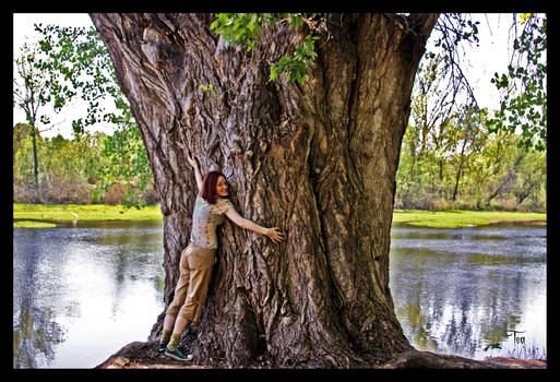 Tree-Hugger