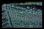 The Dark Spring Rain by TeaPhotography