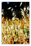I Feel Change by TeaPhotography