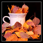 Autumn is My Cuppa Tea by TeaPhotography