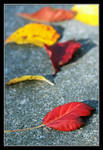 Autumn is a Rainbow of Change by TeaPhotography