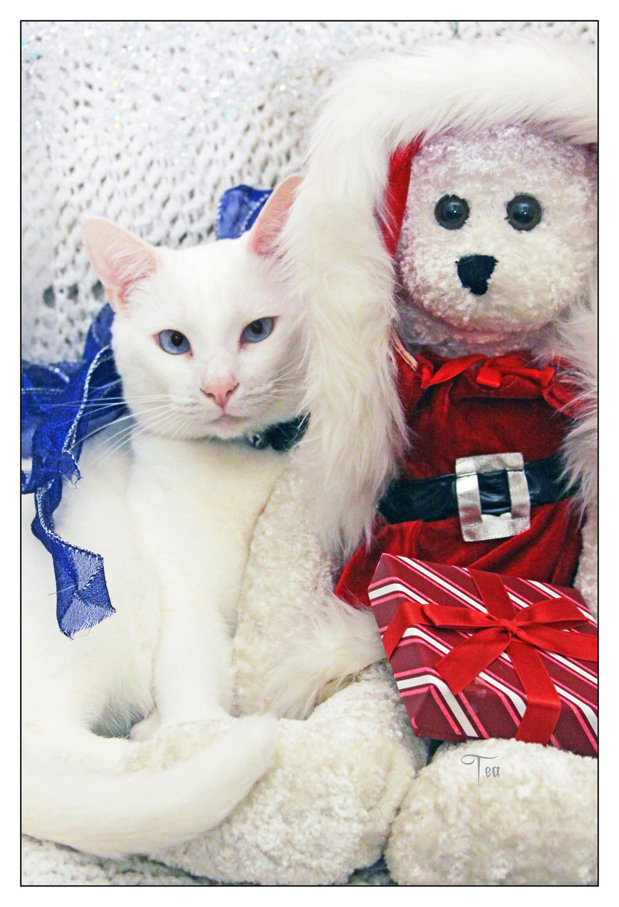 Tsuki and Santa Baby