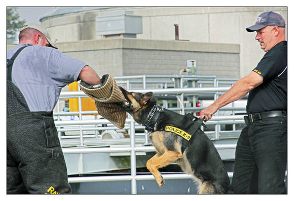 Training Day K-9 Unit