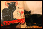 Deux Beaux Chats Noirs by TeaPhotography