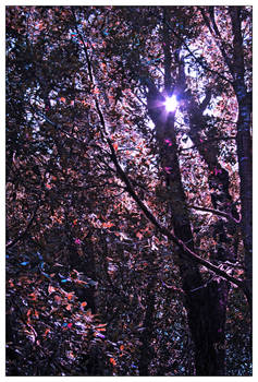 October Days October Ways