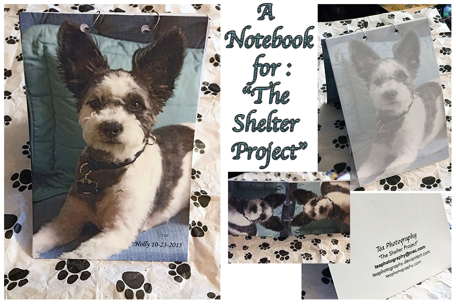 A Notebook for-The Shelter Project by TeaPhotography A Notebook for-The Shelter Project by TeaPhotography