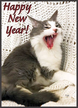 Jikan Shouts Our Wish For You