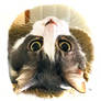 Jikan Sends His Love Upside Down