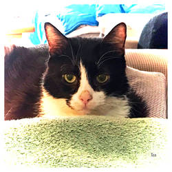 Happy August Birthdays!