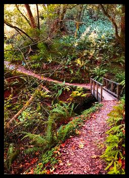 Happy November Birthdays!