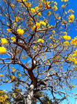 Spring by MARCO-E