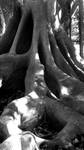 Sensual Abstraction by MARCO-E