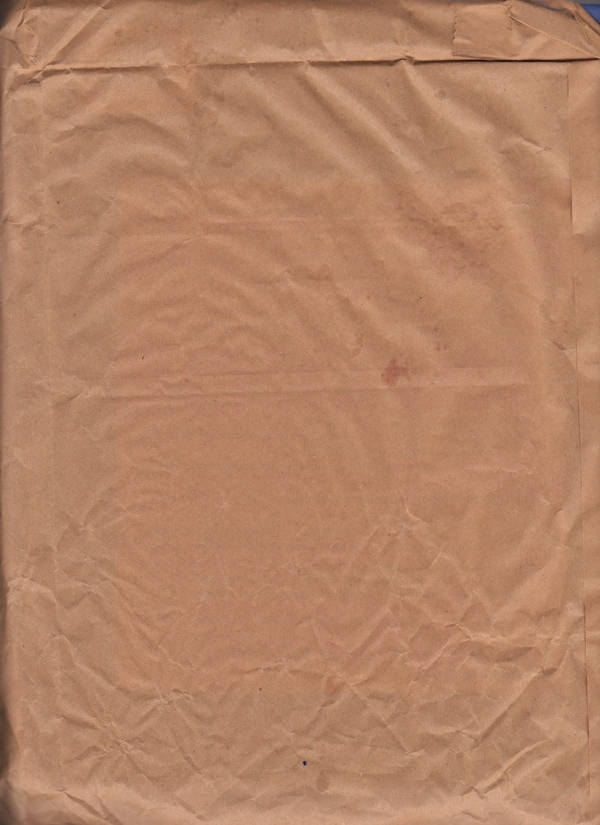 brown paper bag 3 by stockpuppet