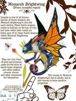 Explore the Best Brightwing Art | DeviantArt