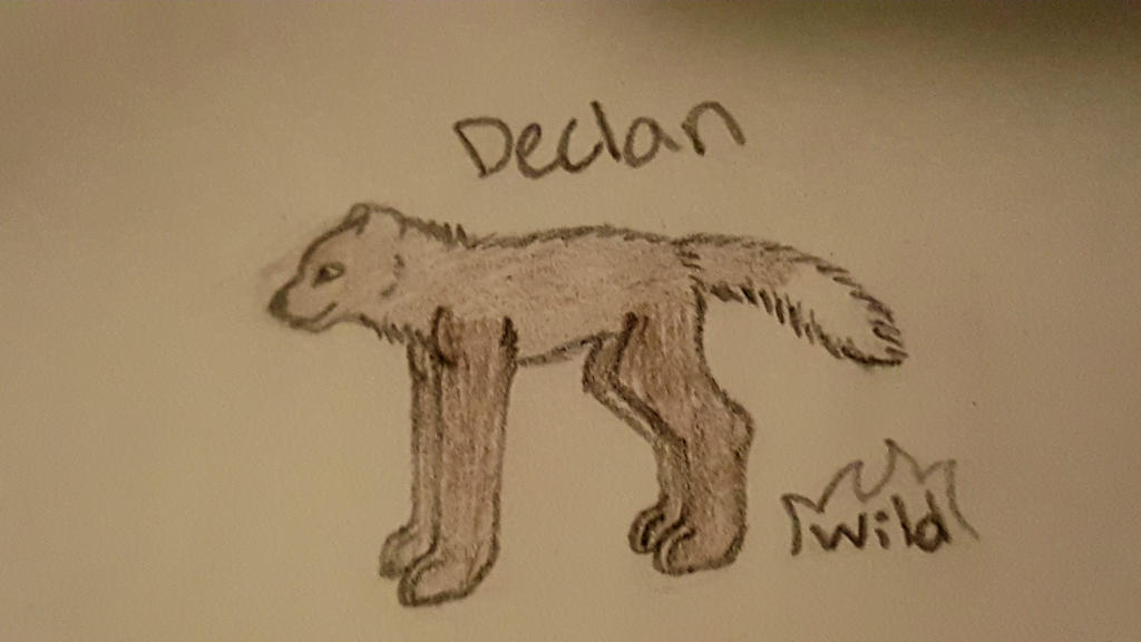 Declan OC by WildWolfWarrior100 on DeviantArt