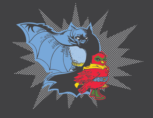 Bat and Robin