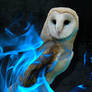 Barn owl in flames