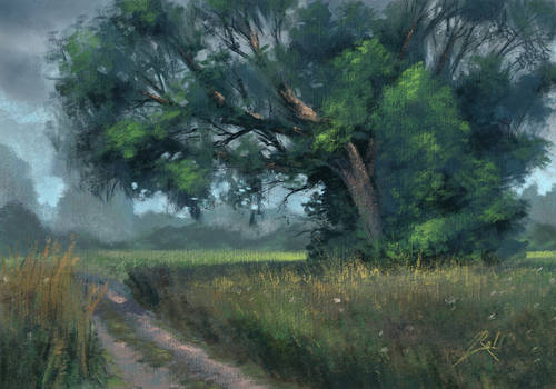 Old Tree Road